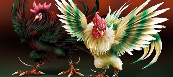 Rooster Derby