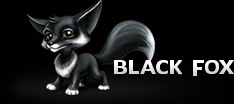 Black Fox -&nbsp; Branding